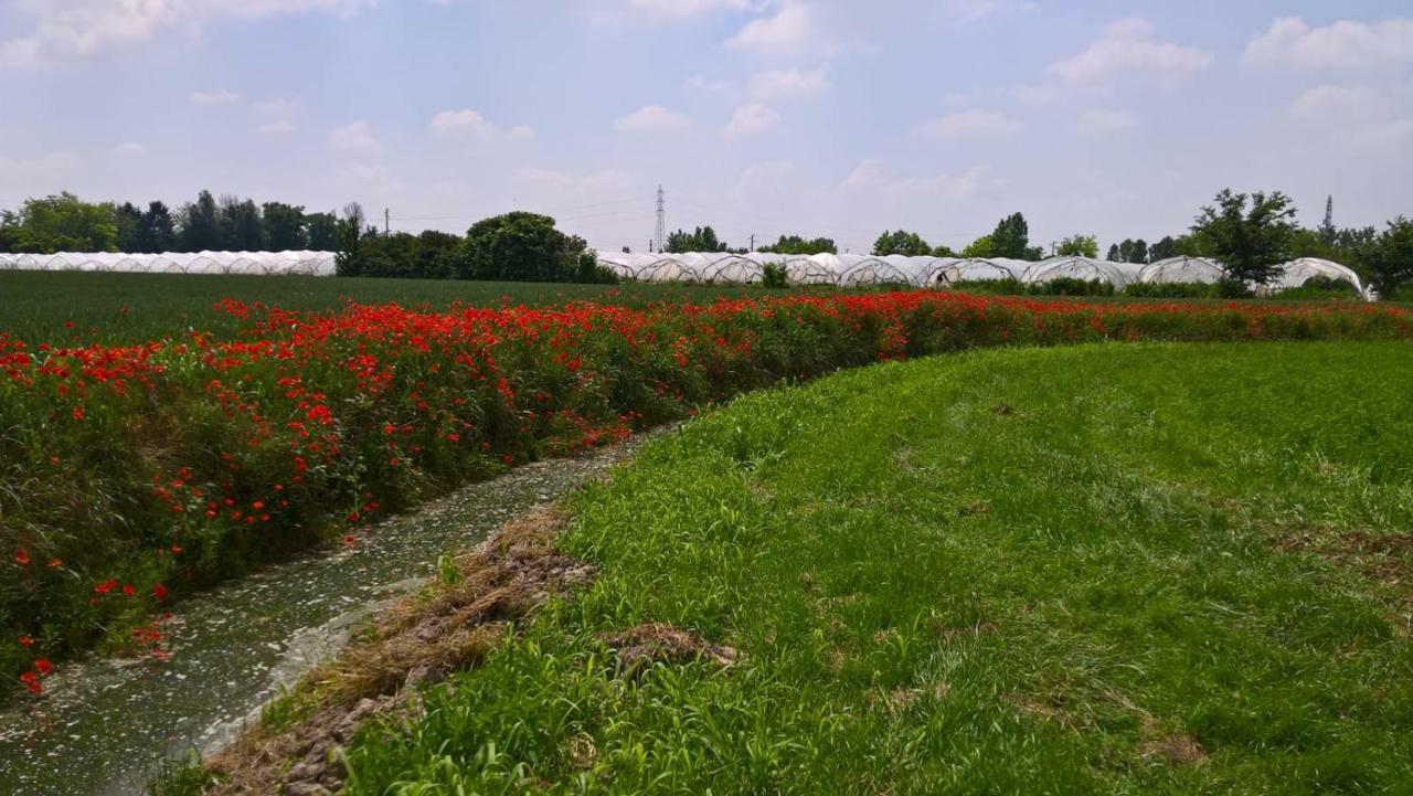 Agriturismo Cipolli E Podo Corte Carlini マントヴァ エクステリア 写真