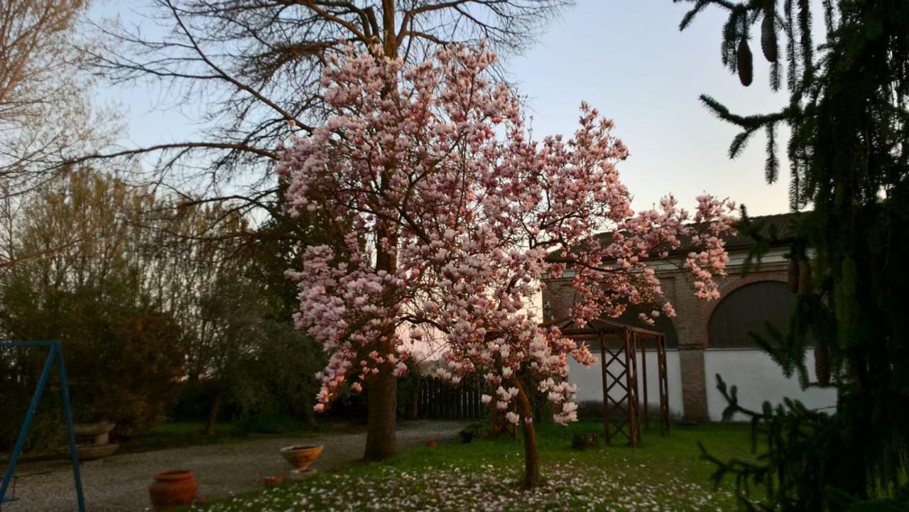 Agriturismo Cipolli E Podo Corte Carlini マントヴァ エクステリア 写真